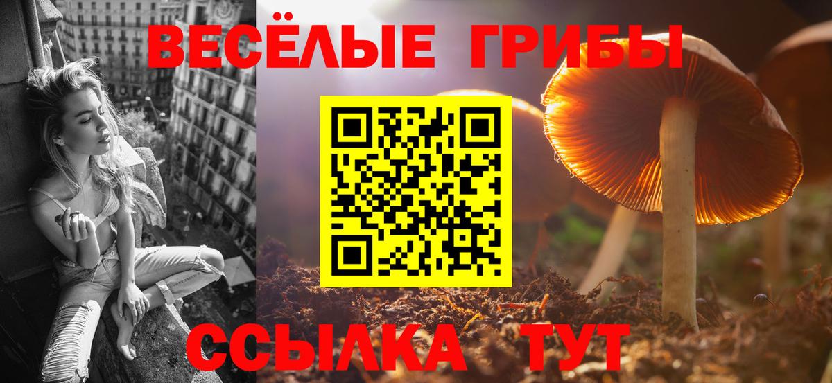 Галлюциногенные грибы Magic Shrooms  Вход с VPN  Армавир 