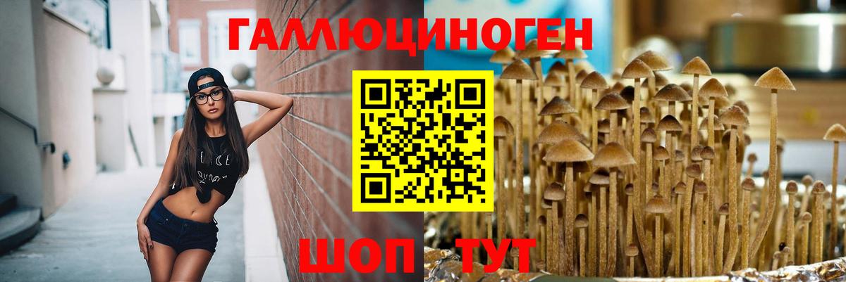 Псилоцибиновые грибы мухоморы Армавир